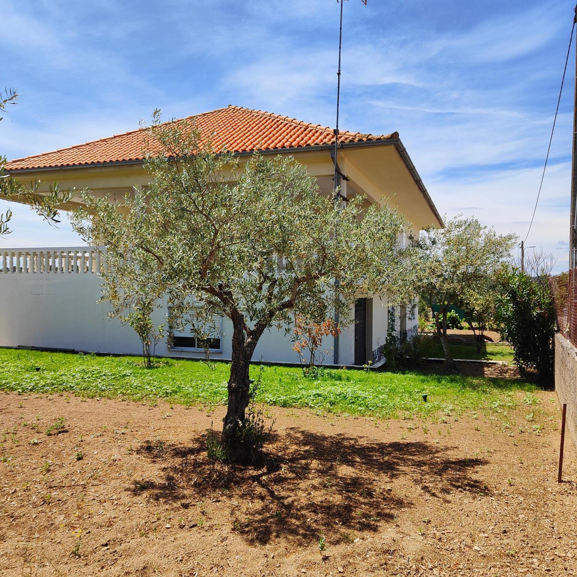 Villa Mendes Oliva Almeida Ngoại thất bức ảnh